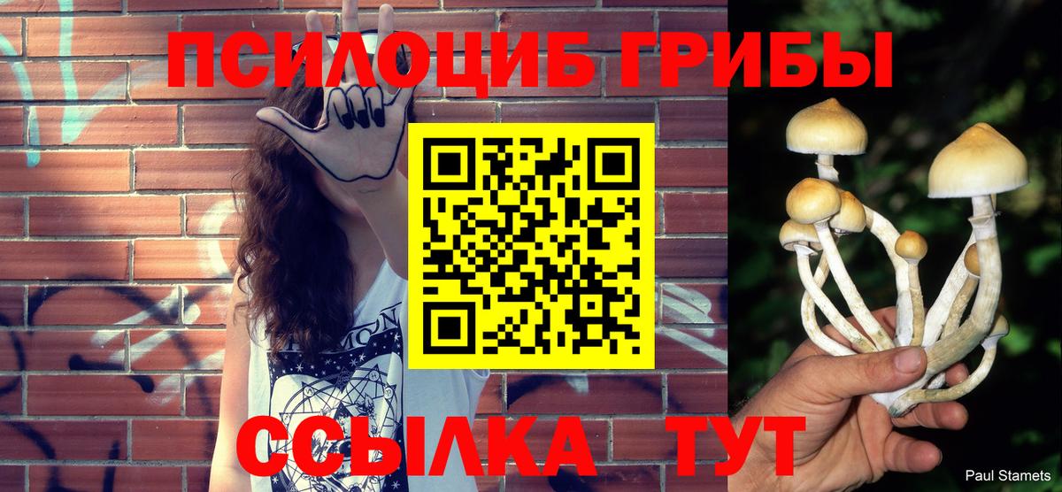 Псилоцибиновые грибы MAGIC MUSHROOMS Омск